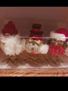 Target Wondershop mini Christmas birds/2022